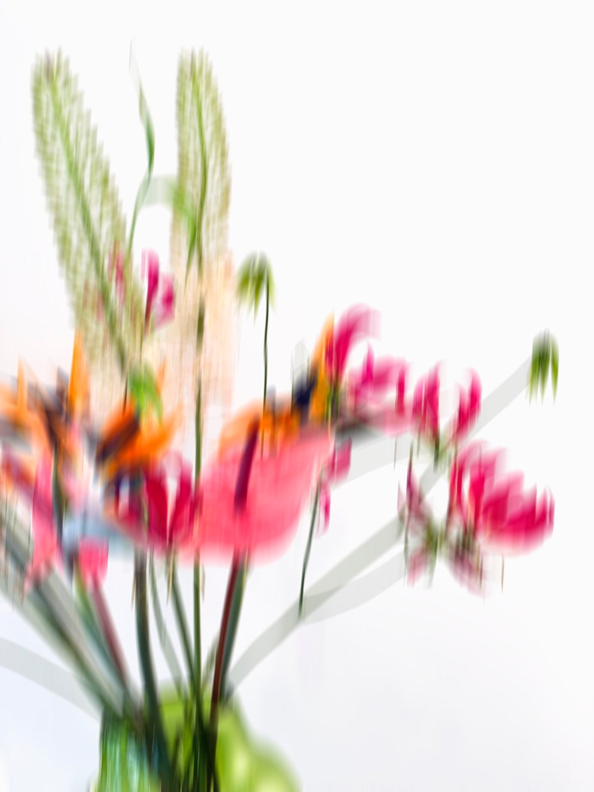 - blumen  klang  gefe - 10785 berlin